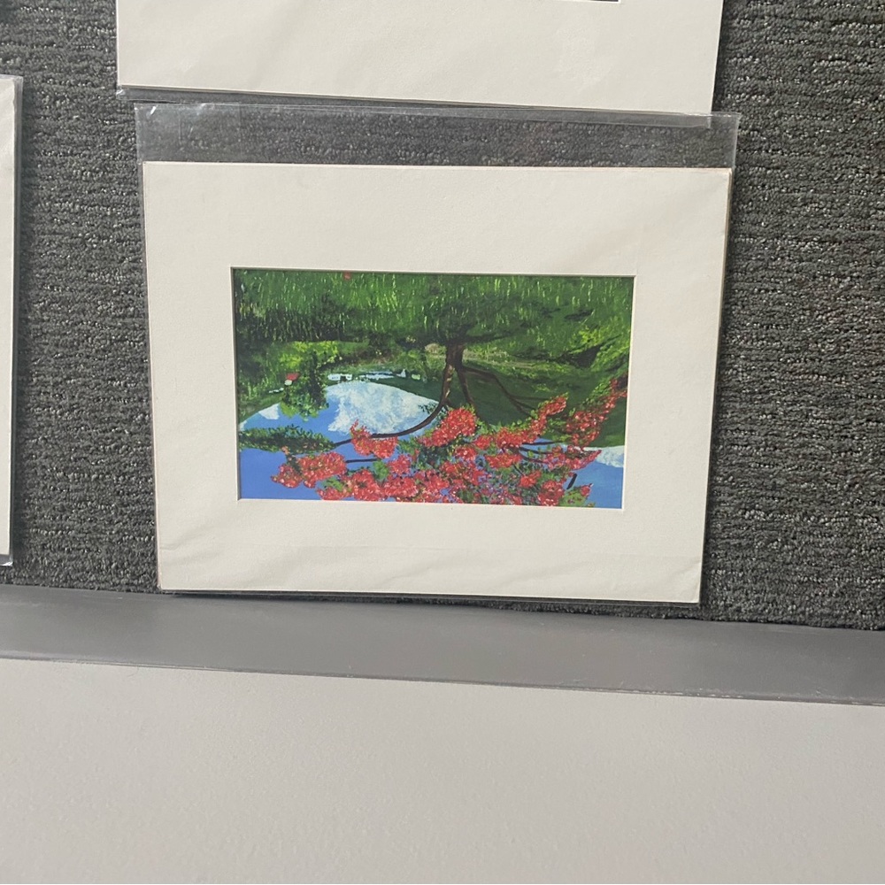 Pre-matted pictures of the islands